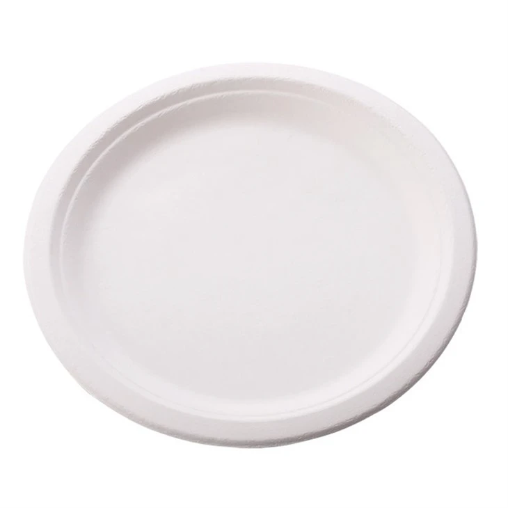 Plaques jetables de la bagasse de canne à sucre